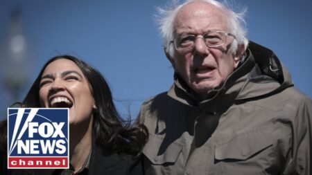 Are AOC and Bernie Sanders the ‘loud minority’ of the Democratic Party?