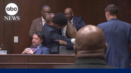 Gun debate nearly turns violent between lawmakers
