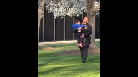 Secret Service intercept child who slipped through White House fence  #news #thewhitehouse