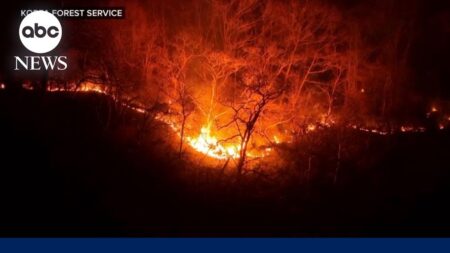 At least 24 dead in South Korea wildfires