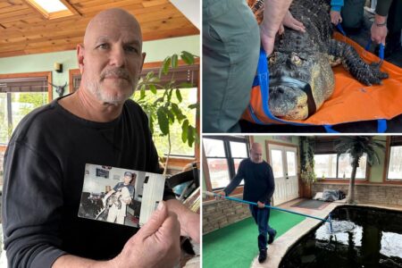 Albert the alligator could be headed home to NY home after owner ‘fought tooth and nail’ to get reptile BFF back from state