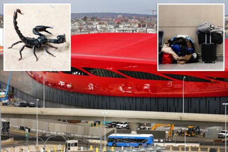 Scorpion stings woman at Boston airport baggage claim after flight from Mexico