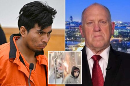 Homan vows ICE will detain migrant accused of torching woman to death on NYC subway: ‘He’s not gonna get away’