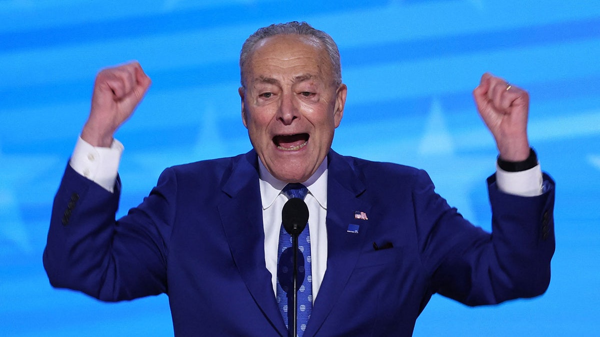 Chuck Schumer gestures onstage during Day 2 of the Democratic National Convention