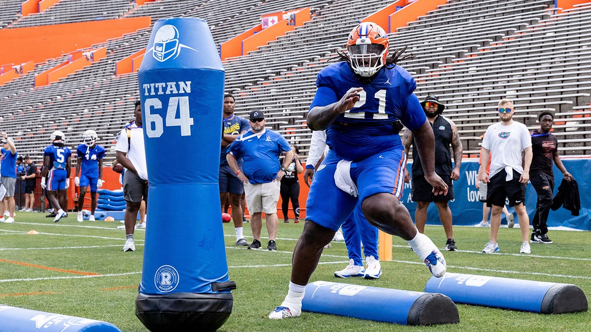Defensive lineman Desmond Watson