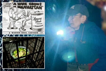 East Village on the hunt for mystery Houdini-esque bunny: ‘Not the place for it’