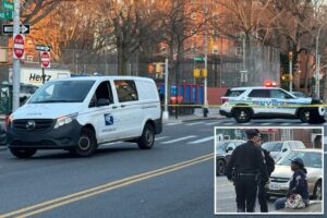 USPS van strikes woman, 94, and pins her underneath vehicle on NYC street: police