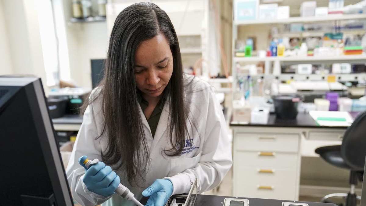 A scientist demonstrates pipetting viscous genomic DNA at the NIH Intramural Sequencing Center in Rockville, Maryland, on April 13, 2023.