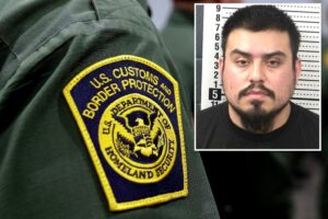 New Mexico man assaulted border agents after calling them ‘traitors’  and threatening to ‘slap the s–t out of’ them: feds