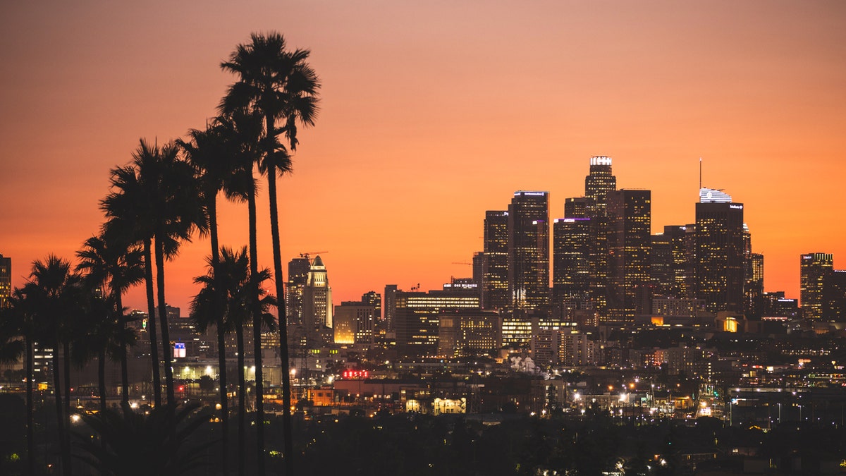 LA Skyline