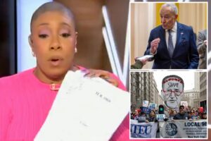 MSNBC host Symone Sanders Townsend announces live on air she’s quitting Dem party over Schumer siding with GOP on spending bill