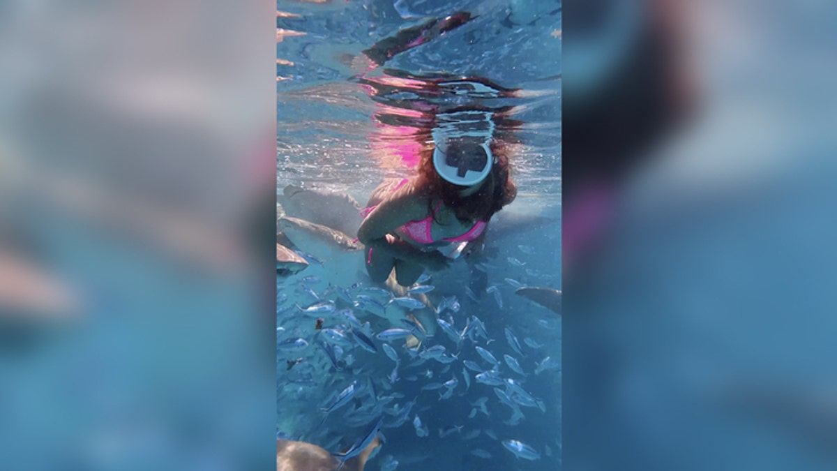 Sharks swim near tourist in the Maldives.