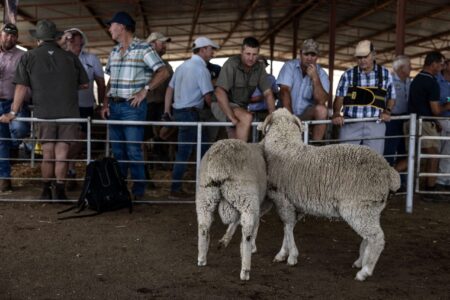 Rubio says South Africa must protect White farmers, US will offer admission to those facing violence