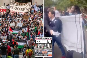 Scathing Harvard reports expose ugly activist culture infecting Ivy League school: ‘Disappointing and painful’