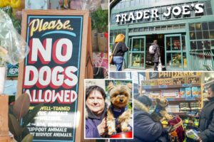 Dogs nose through food at NYC Trader Joe’s while carefree owners shop, but some pet lovers don’t mind