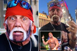 Oh, brother! Hulk Hogan raises eyebrows with dramatic new look: ‘What style would you call this?’