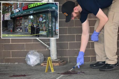 Man dies after being stabbed six times in the back by multiple assailants following argument inside NYC bodega: NYPD