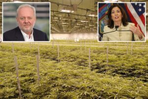 Exclusive | Medical pot pioneer rips ‘un-American’ Hochul, NY regulators for allegedly thwarting businesses: ‘Want to destroy us’