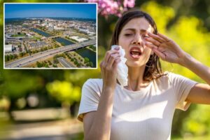 The shocking 10 worst US cities for allergies revealed — and tips to make spring bearable