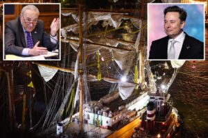 Schumer bizarrely claims DOGE may have been partly to blame for Mexican ship’s deadly Brooklyn Bridge mishap
