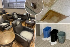 Fed-up employees at top airline are blowing the whistle on ‘deplorable’ lounge conditions