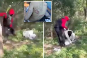 Teens attack 2 girls with bat, shave 16-year-old’s head in NYC park assault: ‘Vile and inhumane’