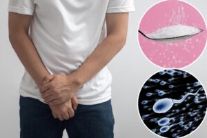 Popular artificial sweetener may sabotage fertility: alarming new study