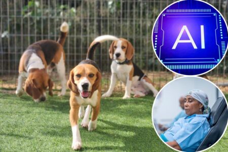 Exclusive | New home test can detect cancer — thanks to adorable puppies who sniff it out at lab