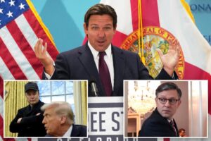 DeSantis blasts House GOP for failing to codify DOGE cuts: ‘Betrayal of the voters’