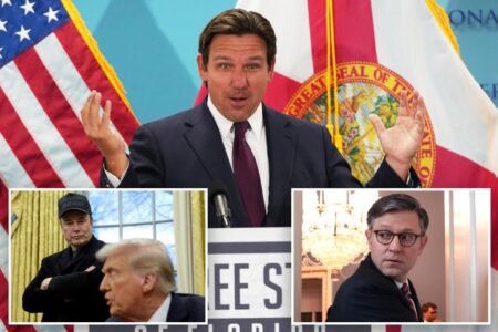 DeSantis blasts House GOP for failing to codify DOGE cuts: ‘Betrayal of the voters’