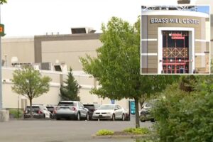 Multiple people shot at Connecticut mall, gunman still at large: reports