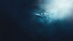 Hearing whale songs can inspire tourists to help protect oceans