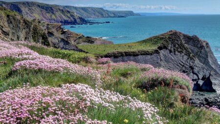 How to walk the stunning filming locations of The Salt Path