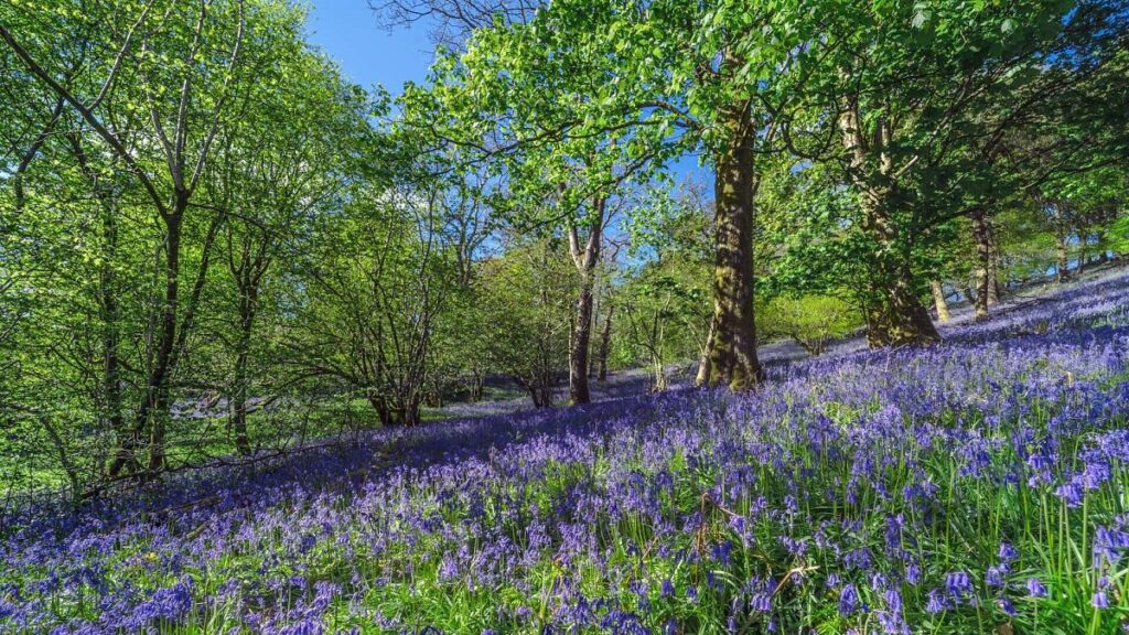 Six serene spots to see spring in full bloom across Europe
