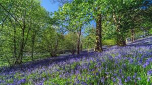 Six serene spots to see spring in full bloom across Europe