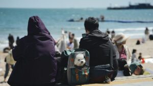 It could soon be easier for UK travellers to bring pets into the EU