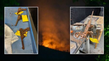 Los Angeles police hope to reunite firearm owners with guns after devastating Palisades Fire