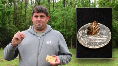 Man finds ‘candy-like’ diamond while exploring Arkansas state park: ‘Chance of a lifetime’