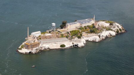 Trump plots Alcatraz comeback and more top headlines