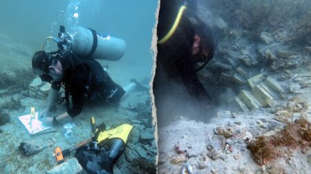 Archaeologist sheds new light on astonishing discovery of wrecked slave ships: ‘Stranded on the coast’