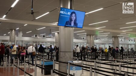 REAL ID mishaps minimal, airports report; expert warns there’s potential chaos to come