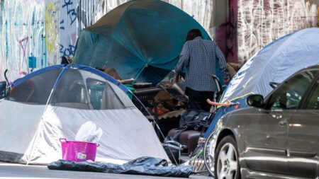Dems, GOP form rare alliance on youth homelessness bill as crisis impacts nation