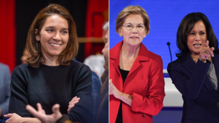 Dem in Trump district race scrubs social media of posts praising progressives: ‘Scam artist’