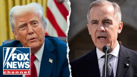 ‘SECESSION’: Trump is ‘playing into’ what’s going on in Canada