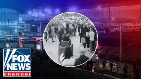 MAJOR concern over juvenile crime in US city