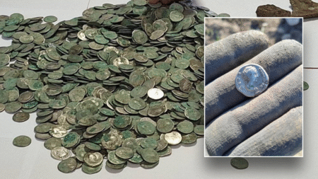 Man stumbles across hoard of priceless coins while out for nature walk: ‘Face to face with history’