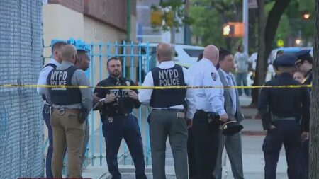Boy, 14, charged with murder after Bronx teen killed in suspected gang crossfire