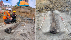 Archaeologists unearth miraculously well-preserved wooden remnant of Ancient Roman town