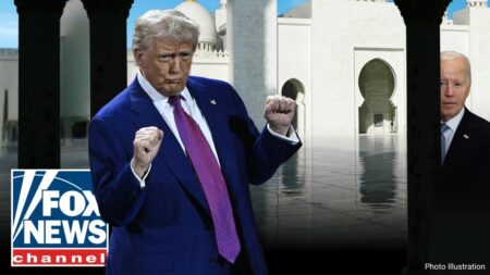 SEE IT TO BELIEVE IT: Rare praise for Trump from top former Biden officials