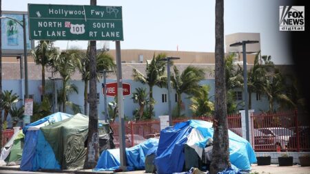 Los Angeles business owner blasts ‘Baby Shark’ on repeat to ward off homeless encampments